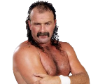 *Jake Roberts11*